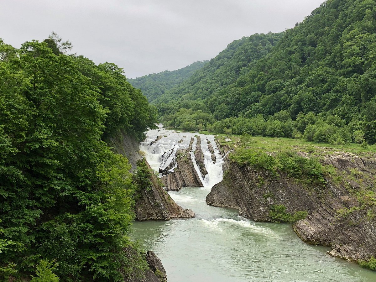 🌳 유노타키 공원 (유노타키코엔) 이미지 1